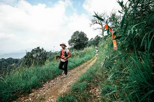 BIB: 
                            <button type="button" onclick="openModal(26039571)" class="btn btn-primary btn-sm float-right btn-popup" data-toggle="modal" data-target=".modal-high-quality">
                        <i class="fas fa-shopping-cart"></i> Add to Cart
                    </button>
                                            <button type="button" onclick="isThisMe(26039571, true)" class="btn btn-success btn-sm float-right btn-popup btn-isme hidden" data-toggle="tooltip" data-placement="bottom" title="นี่คือรูปของคุณใช่ไหม คลิกที่นี่เพื่อเอาเข้าอัลบั้ม">
                        <i class="fas fa-plus"></i> Add to album
                    </button>
                    <button type="button" onclick="isThisMe(26039571, false)" class="btn btn-warning btn-sm float-right btn-popup btn-isnotme hidden">
                        <i class="fas fa-ban"></i> Remove from album
                    </button>